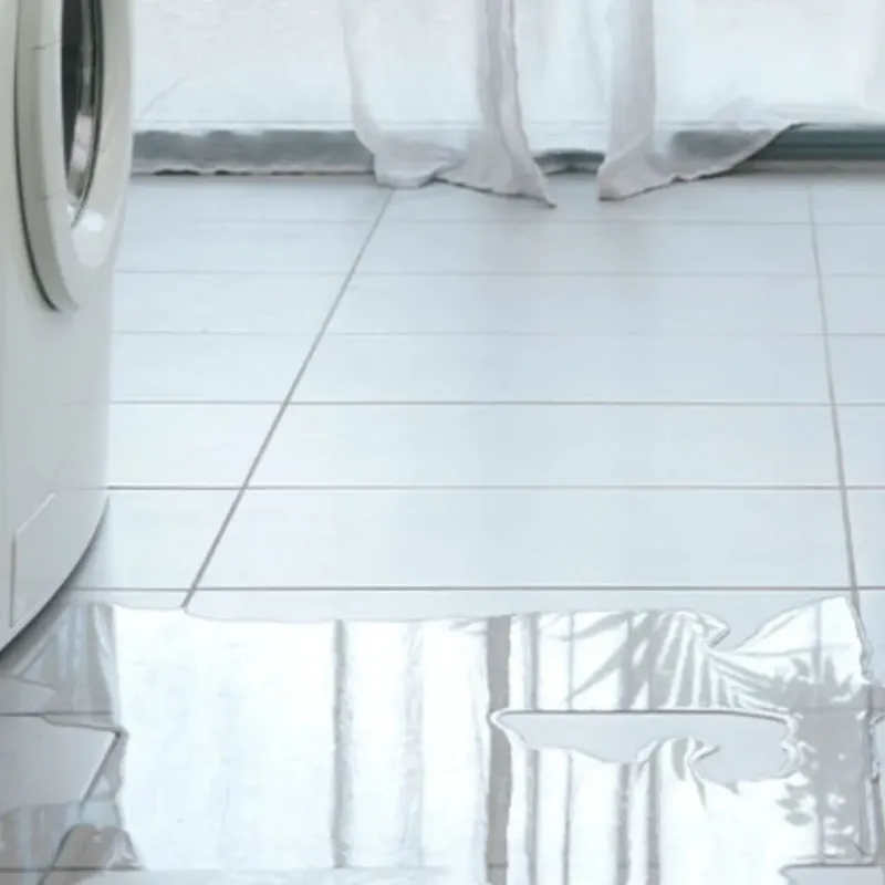 Appliance Leak Cleanup in Winnie, TX