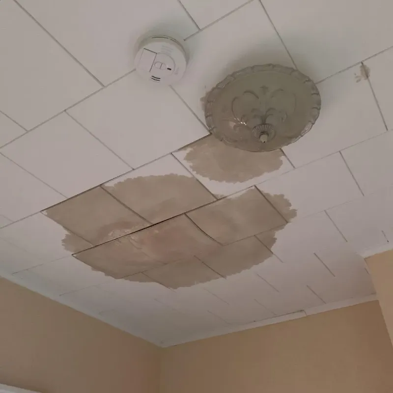 Ceiling Water Damage Repair in Winnie, TX