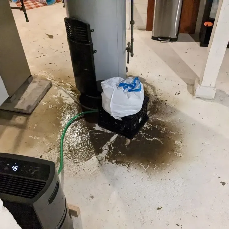 Sewage Backup Cleanup Service in Winnie, TX